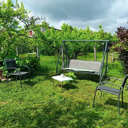 Maison Avec Jardin